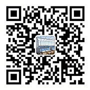 手機(jī)站二維碼